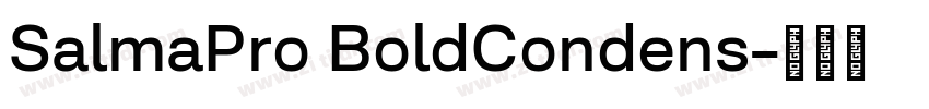 SalmaPro BoldCondens字体转换 SalmaPro BoldCondens字体转换